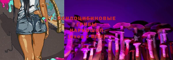 альфа пвп Козловка