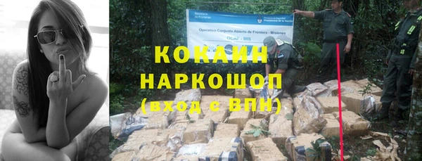 дживик Козельск
