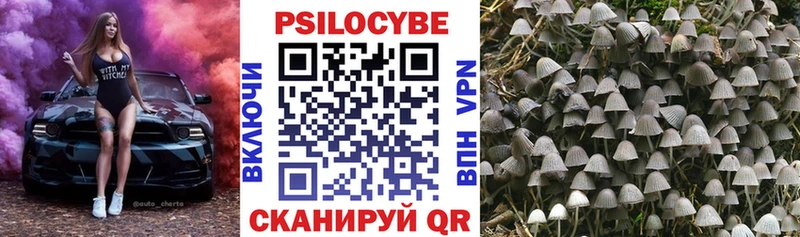 Купить  Лермонтов  Псилоцибиновые грибы Psilocybe 